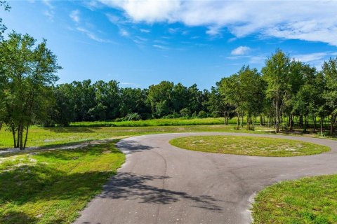 Terreno en venta en Dade City, Florida № 1352911 - foto 9