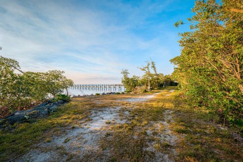 Land in Stuart, Florida № 706024 - photo 15