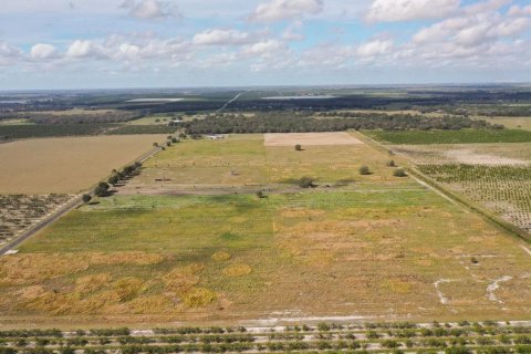 Land in Fort Meade, Florida № 1382661 - photo 2