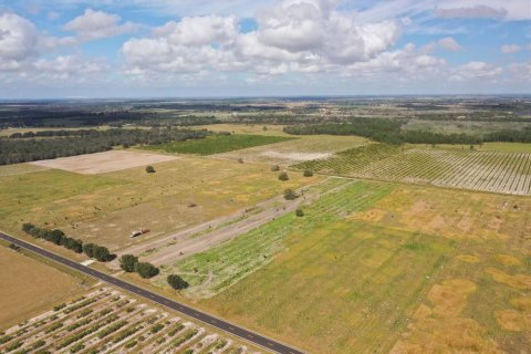 Land in Fort Meade, Florida № 1382661 - photo 3