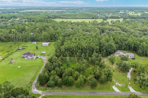 Terreno en venta en Lake Butler, Florida № 1372187 - foto 8