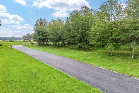 Terreno en venta en Lake Butler, Florida № 1372187 - foto 5