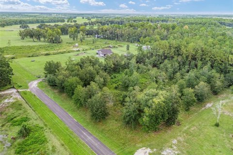 Land in Lake Butler, Florida № 1372187 - photo 7