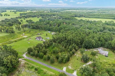 Terreno en venta en Lake Butler, Florida № 1372187 - foto 2