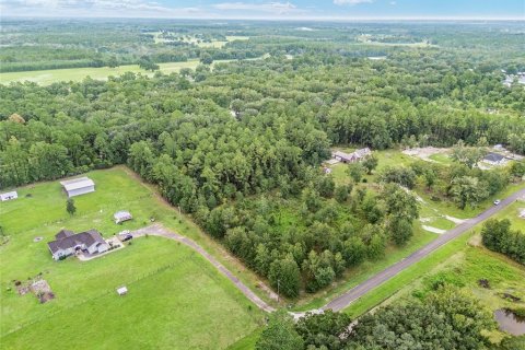 Terreno en venta en Lake Butler, Florida № 1372187 - foto 9