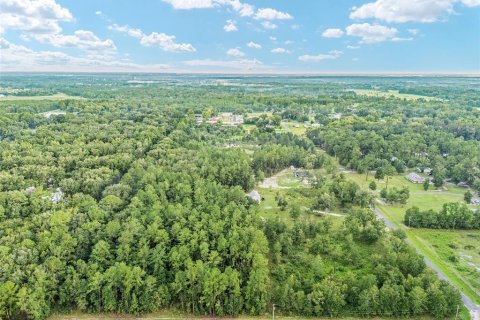 Land in Lake Butler, Florida № 1372187 - photo 13