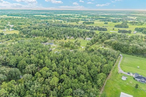 Land in Lake Butler, Florida № 1372187 - photo 12