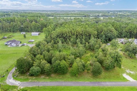 Terreno en venta en Lake Butler, Florida № 1372187 - foto 6