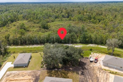 Terreno en venta en Kissimmee, Florida № 1372221 - foto 6