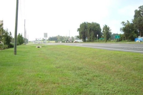 Купить земельный участок в Окала, Флорида № 215776 - фото 12