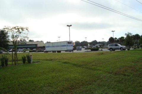 Terrain à vendre à Ocala, Floride № 215776 - photo 6
