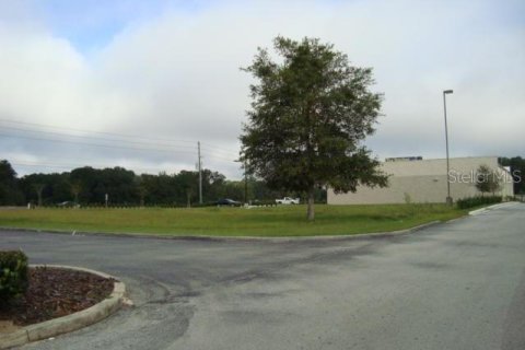 Купить земельный участок в Окала, Флорида № 215776 - фото 9