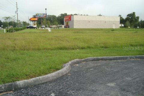 Купить земельный участок в Окала, Флорида № 215776 - фото 3