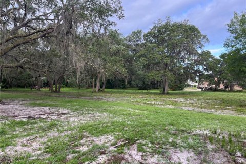 Land in DeLand, Florida № 633604 - photo 3