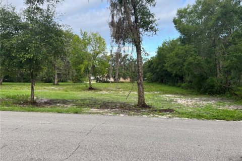 Land in DeLand, Florida № 633604 - photo 1