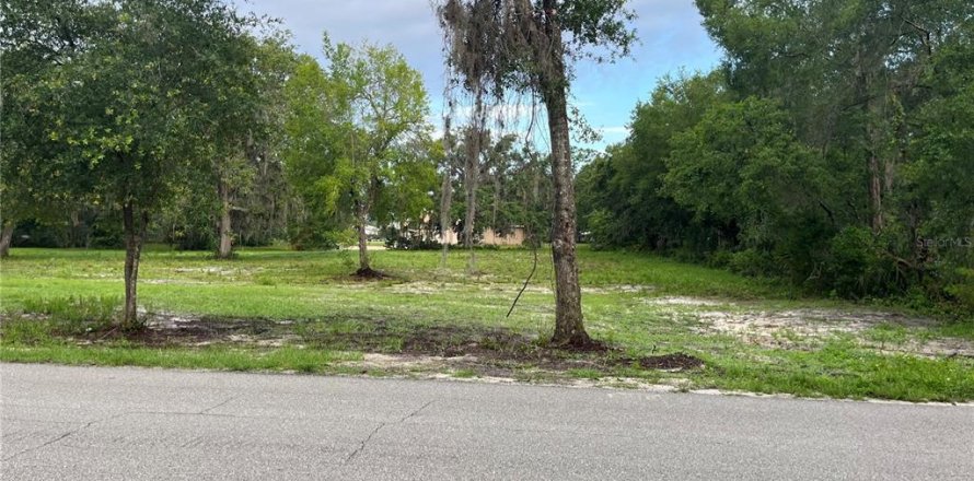 Land in DeLand, Florida № 633604