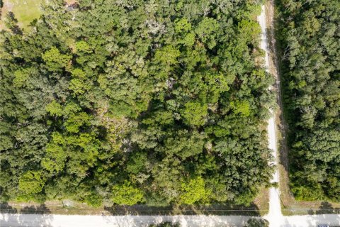 Land in Webster, Florida № 1371344 - photo 3