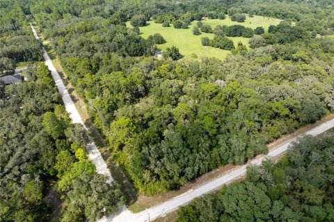 Terreno en venta en Webster, Florida № 1371344 - foto 5