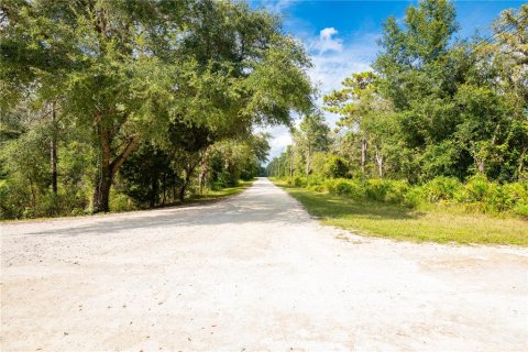 Terrain à vendre à Webster, Floride № 1371344 - photo 6