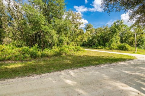 Terreno en venta en Webster, Florida № 1371344 - foto 8