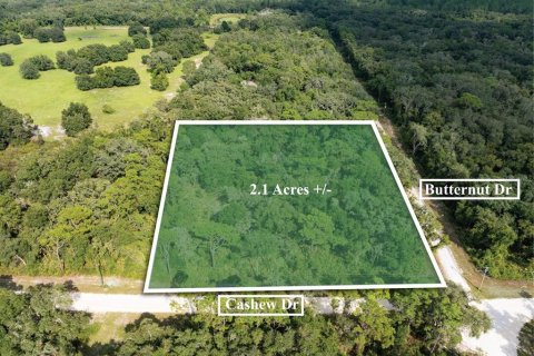 Terreno en venta en Webster, Florida № 1371344 - foto 1