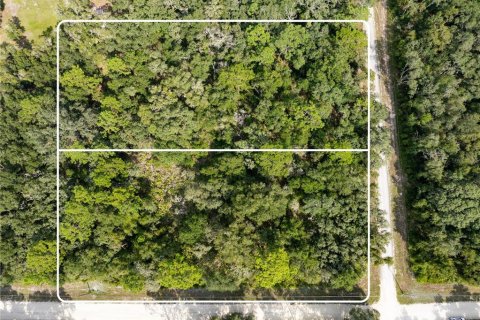 Terreno en venta en Webster, Florida № 1371344 - foto 2