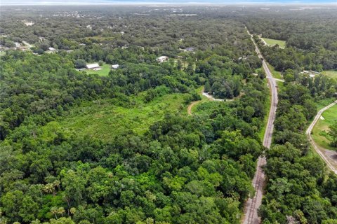 Terreno en venta en Sanford, Florida № 1304390 - foto 12