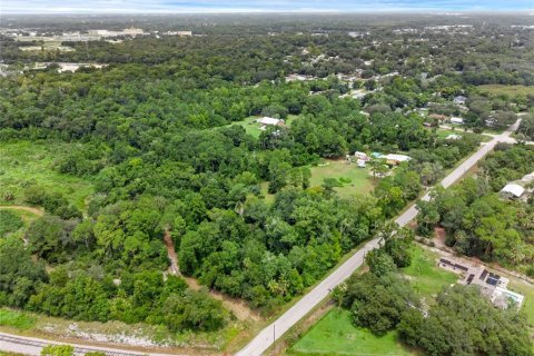 Terreno en venta en Sanford, Florida № 1304390 - foto 15