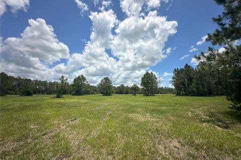 Terreno en venta en Fort MC Coy, Florida № 1416859 - foto 24