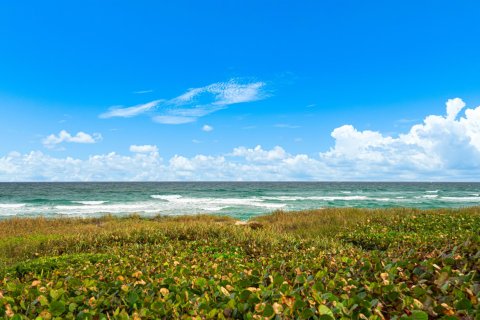 Condo in Ocean Ridge, Florida, 3 bedrooms  № 984301 - photo 2