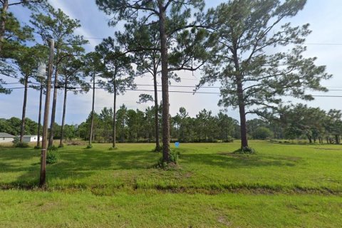 Land in Milton, Florida № 1316897 - photo 2