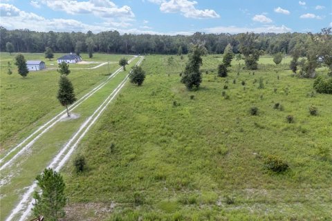 Terreno en venta en High Springs, Florida № 1334415 - foto 7