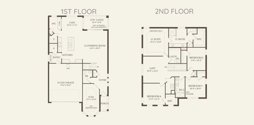Townhouse floor plan «248SQM RIVERWALK», 4 bedrooms in AVONDALE AT AVENIR