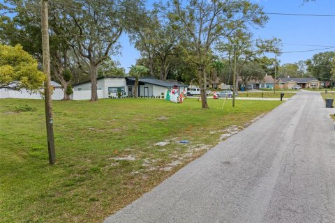 Купить земельный участок в Тампа, Флорида № 885415 - фото 8