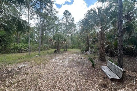 Terreno en venta en Mims, Florida № 1385416 - foto 3