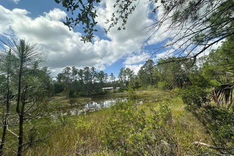 Terreno en venta en Mims, Florida № 1385416 - foto 4