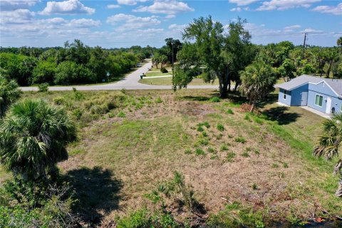 Land in Port Charlotte, Florida № 1220123 - photo 23