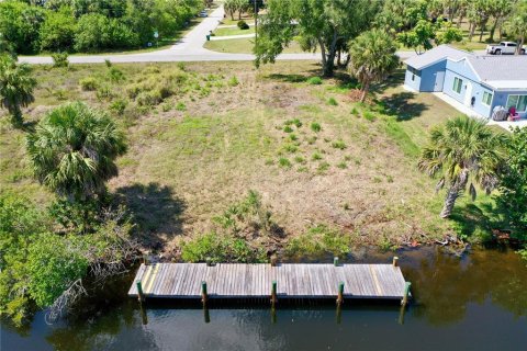 Land in Port Charlotte, Florida № 1220123 - photo 2