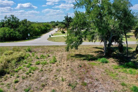 Land in Port Charlotte, Florida № 1220123 - photo 24