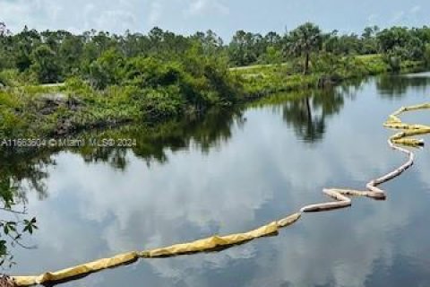 Terrain à vendre à Cape Coral, Floride № 1374344 - photo 6