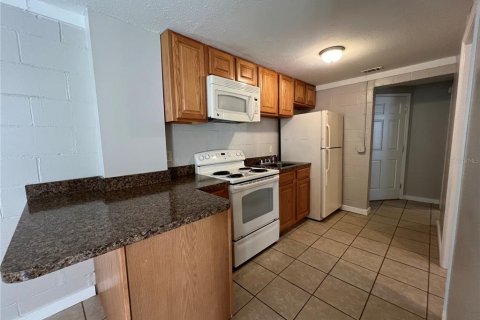 Appartement à louer à Mount Dora, Floride: 2 chambres, 52.21 m2 № 1350923 - photo 8