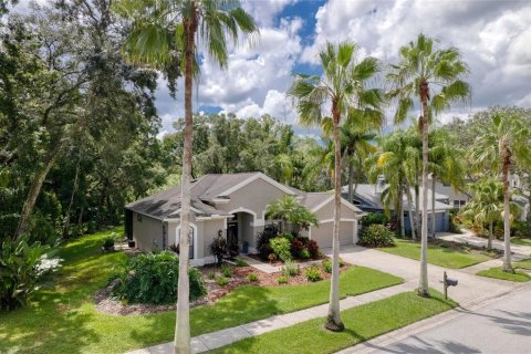 Villa ou maison à vendre à Odessa, Floride: 3 chambres, 165.18 m2 № 1344344 - photo 2