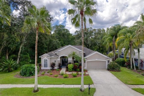 Villa ou maison à vendre à Odessa, Floride: 3 chambres, 165.18 m2 № 1344344 - photo 3