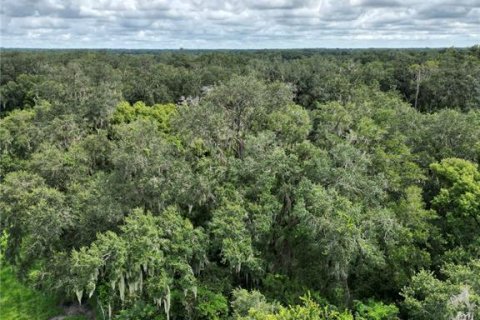 Terreno en venta en Plant City, Florida № 1361873 - foto 6