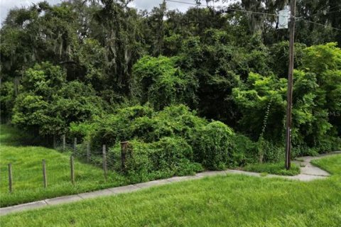 Terreno en venta en Plant City, Florida № 1361873 - foto 5