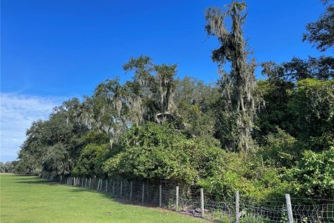 Terreno en venta en Plant City, Florida № 1361873 - foto 2