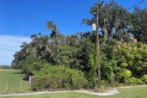 Terreno en venta en Plant City, Florida № 1361873 - foto 1