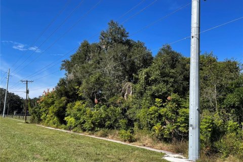 Terrain à vendre à Plant City, Floride № 1361873 - photo 4