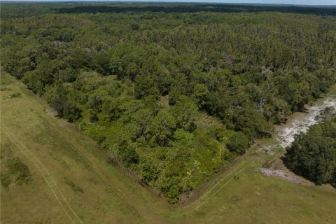 Terrain à vendre à Thonotosassa, Floride № 1354058 - photo 10