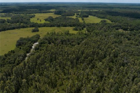 Land in Thonotosassa, Florida № 1354058 - photo 14